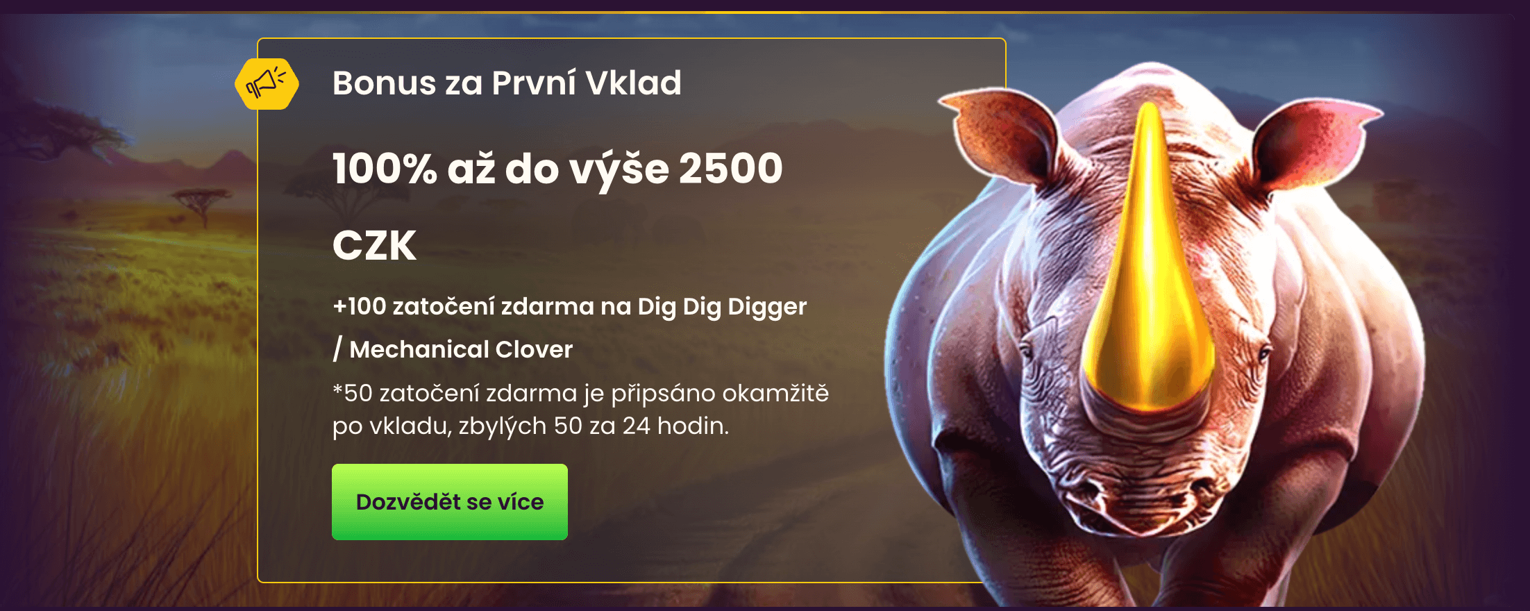 iWild Casino